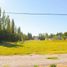  Land for sale in Neuquen, Confluencia, Neuquen