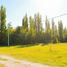  Land for sale in Neuquen, Confluencia, Neuquen