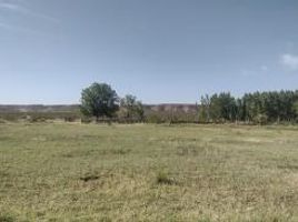  Terreno (Parcela) en venta en Confluencia, Neuquen, Confluencia