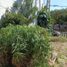 4 Bedroom House for sale in Capital Misiones, Capital