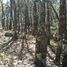 Land for sale in Omitlan De Juarez, Hidalgo, Omitlan De Juarez