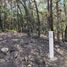  Land for sale in Omitlan De Juarez, Hidalgo, Omitlan De Juarez