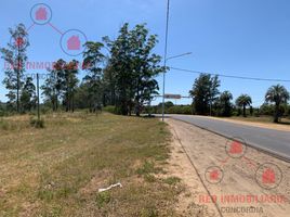  Land for sale in Concordia, Entre Rios, Concordia