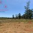  Land for sale in Concordia, Entre Rios, Concordia