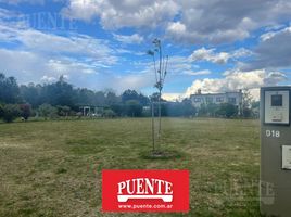  Terreno (Parcela) en venta en Kuna Yala, Tubualá, Kuna Yala, Kuna Yala