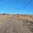  Land for sale in Neuquen, Confluencia, Neuquen