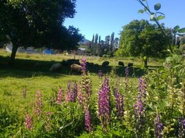  Land for sale in Cushamen, Chubut, Cushamen, Chubut
