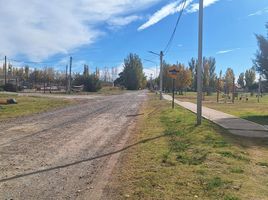  Terreno (Parcela) en venta en Confluencia, Neuquen, Confluencia