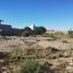  Land for sale in Confluencia, Neuquen, Confluencia