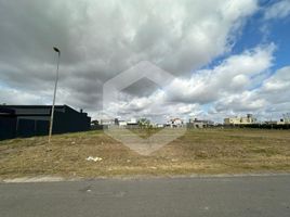  Grundstück zu verkaufen in Rosario, Santa Fe, Rosario