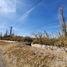  Land for sale in Albardon, San Juan, Albardon