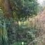  Land for sale in Campana, Buenos Aires, Campana