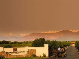  Terrain for sale in Cafayate, Salta, Cafayate