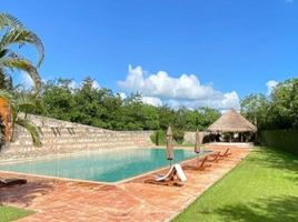  Grundstück zu verkaufen in Conkal, Yucatan, Conkal