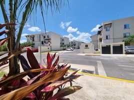 Appartement 2 chambre à louer à Cozumel, Quintana Roo, Cozumel