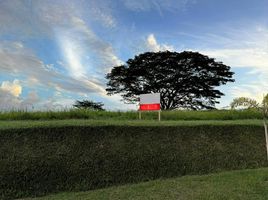  Land for sale in Pereira, Risaralda, Pereira