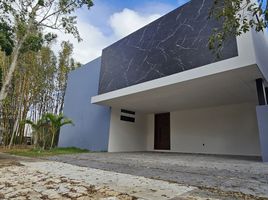 3 Schlafzimmer Wohnung zu verkaufen in Conkal, Yucatan, Conkal