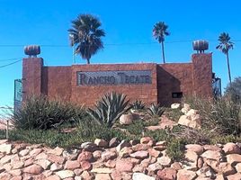  Grundstück zu verkaufen in Tecate, Baja California, Tecate