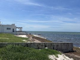  Land for sale in Yobain, Yucatan, Yobain