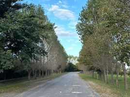  Land for sale in Santa Fe, La Capital, Santa Fe