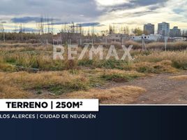  Terreno (Parcela) en venta en Confluencia, Neuquen, Confluencia