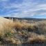  Terreno (Parcela) en venta en Escalante, Chubut, Escalante