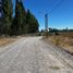  Land for sale in Confluencia, Neuquen, Confluencia