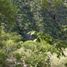  Land for sale in La Yesca, Nayarit, La Yesca