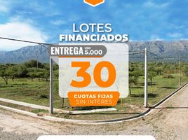  Terreno (Parcela) en venta en Junin, San Luis, Junin