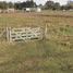  Land for sale in General Pueyrredon, Buenos Aires, General Pueyrredon