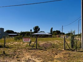  Land for sale in Colon, Entre Rios, Colon