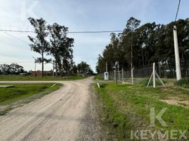  Land for sale in La Plata, Buenos Aires, La Plata