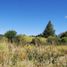  Land for sale in Rio Negro, Bariloche, Rio Negro