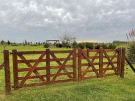  Land for sale in La Plata, Buenos Aires, La Plata