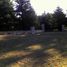  Land for sale in Tornquist, Buenos Aires, Tornquist