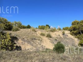  Land for sale in Caleu Caleu, La Pampa, Caleu Caleu