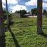  Terreno (Parcela) en venta en Monte, Buenos Aires, Monte