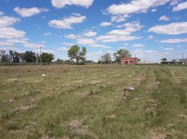  Land for sale in La Plata, Buenos Aires, La Plata