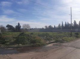  Land for sale in La Plata, Buenos Aires, La Plata