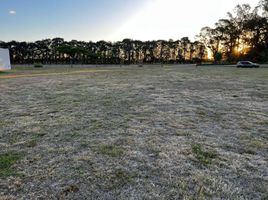  Land for sale in General Rodriguez, Buenos Aires, General Rodriguez