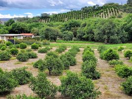  Land for sale in Guayllabamba, Quito, Guayllabamba