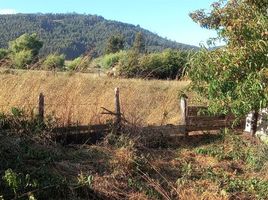  Terreno (Parcela) en venta en Ñuble, Cobquecura, Itata, Ñuble