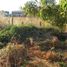  Terreno (Parcela) en venta en Ñuble, Cobquecura, Itata, Ñuble