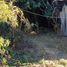  Terreno (Parcela) en venta en Ñuble, Cobquecura, Itata, Ñuble