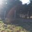  Land for sale in Chile, Cobquecura, Itata, Nuble, Chile