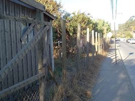  Land for sale in Chile, Cobquecura, Itata, Nuble, Chile