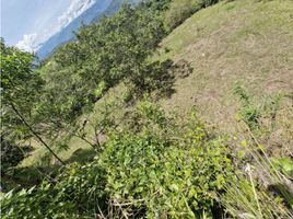  Terreno (Parcela) en venta en San Jeronimo, Antioquia, San Jeronimo