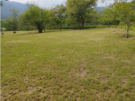  Terrain for sale in Puente Colgante De Occidente, Olaya, Santa Fe De Antioquia