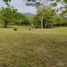  Terrain for sale in Puente Colgante De Occidente, Olaya, Santa Fe De Antioquia