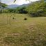  Terrain for sale in Puente Colgante De Occidente, Olaya, Santa Fe De Antioquia